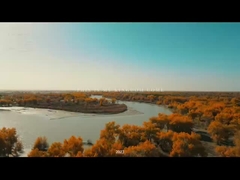 Aufbau der Jugendliga von Xinjiang